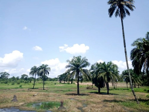 Joli paysage en pays Akaselem