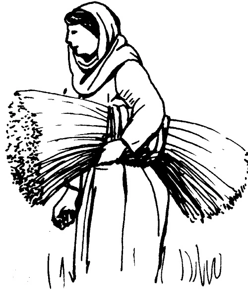 Ruth la Moabite
