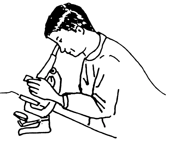 Recherches linguistique